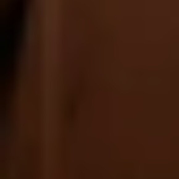 Beu Marc. Sz 30 (4X). Brown Long Sleeve Lined Jacket w Modesty Panel. AL - Picture 4 of 6